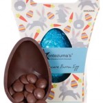 Montezuma’s Organic Dark Chocolate Button Egg