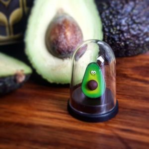 The Pet Avocado