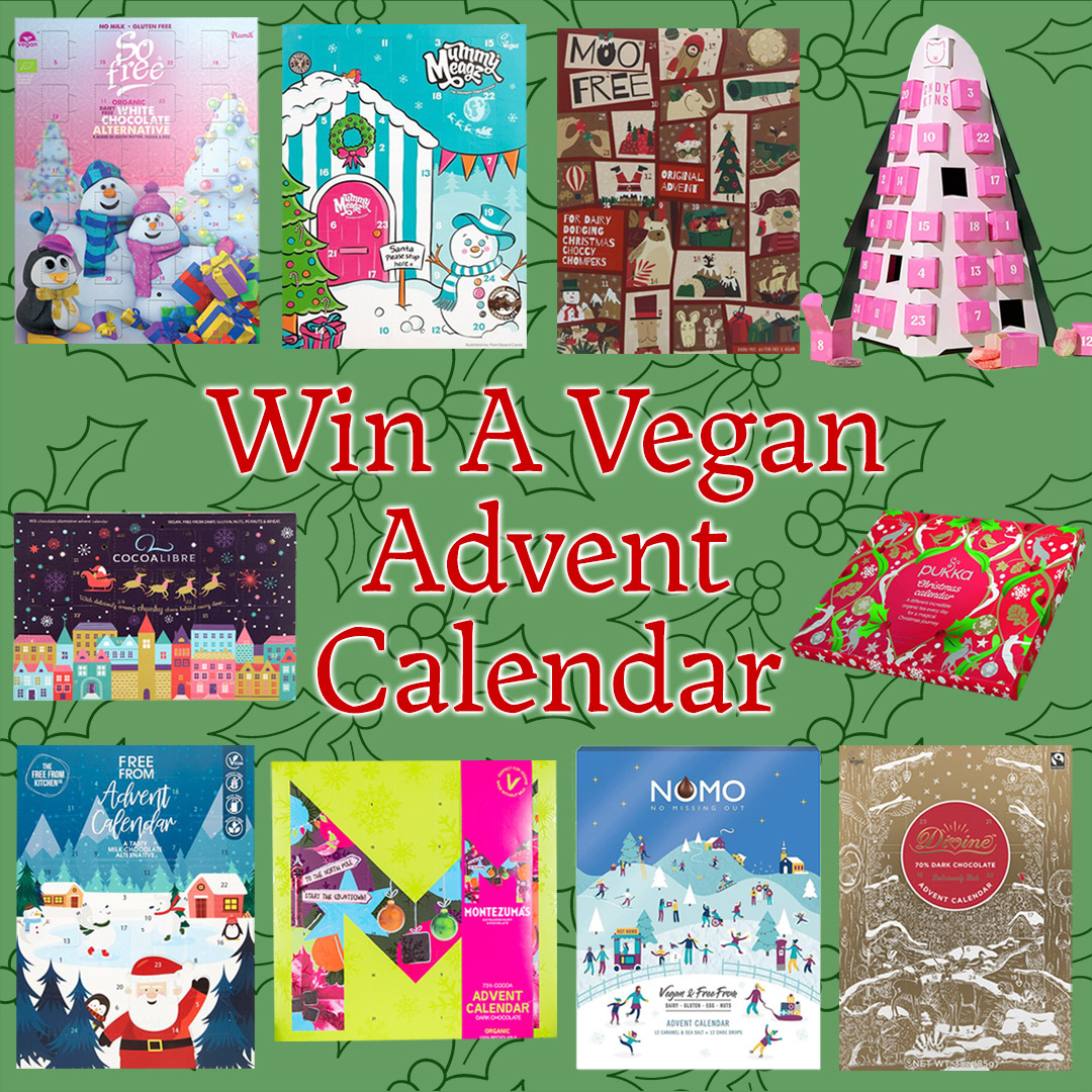 Advent Calendars 2020 Competition